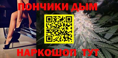 jwh Будённовск