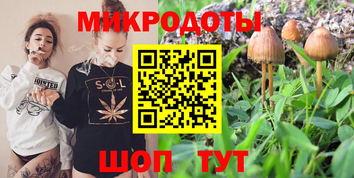 Галлюциногенные грибы GOLDEN TEACHER  Вход с VPN  Иркутск 